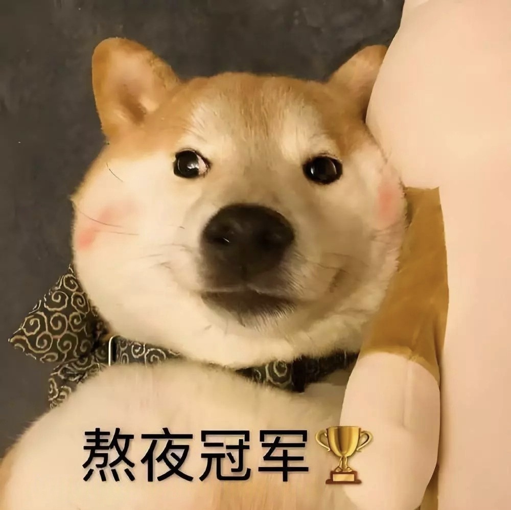 1000068424.jpg