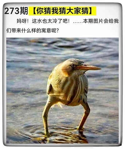 1000068550.jpg