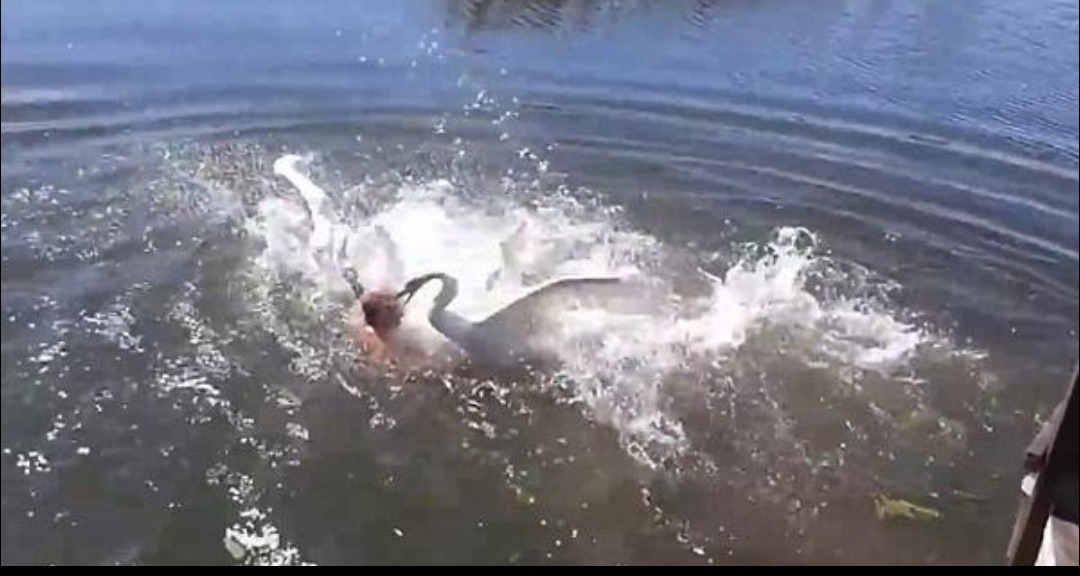 Screenshot_20260426_202803_com_larus_nova_MainActivity.jpg