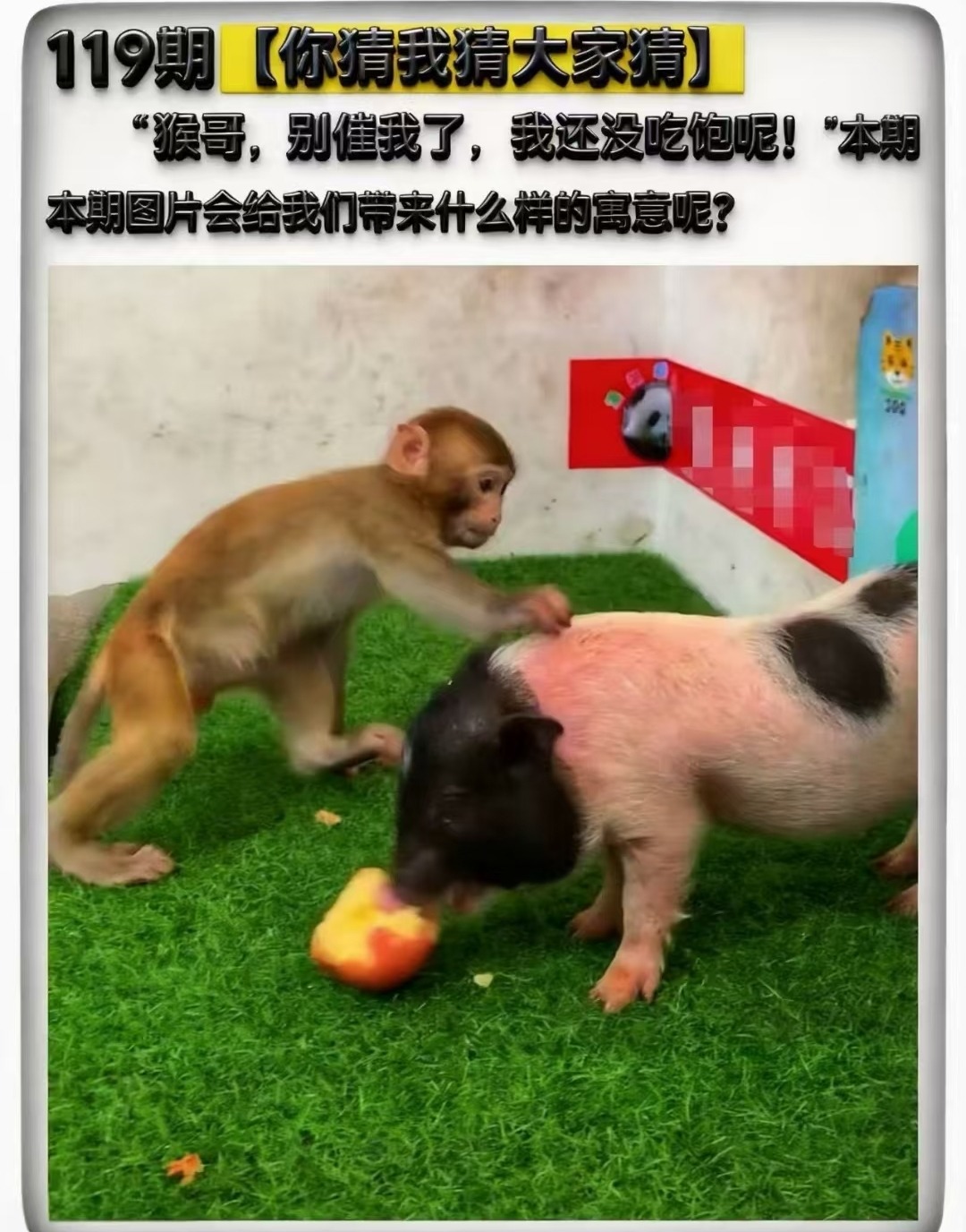 Screenshot_20260429_161117_com_tencent_mm_LauncherUI.jpg