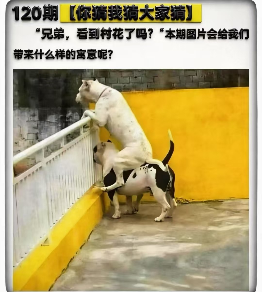 Screenshot_20260430_183104_com_tencent_mm_LauncherUI.jpg