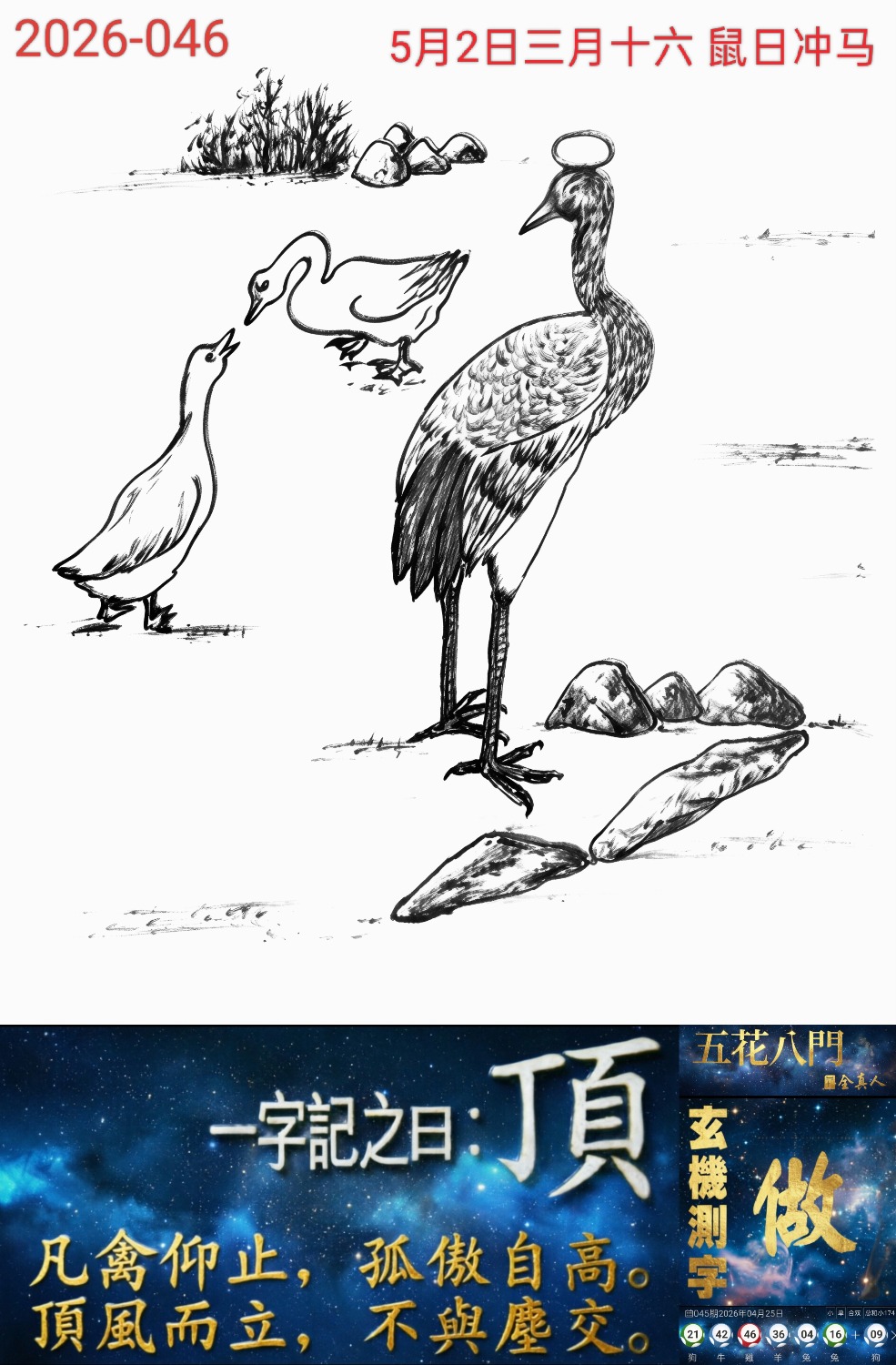 1000010046.jpg