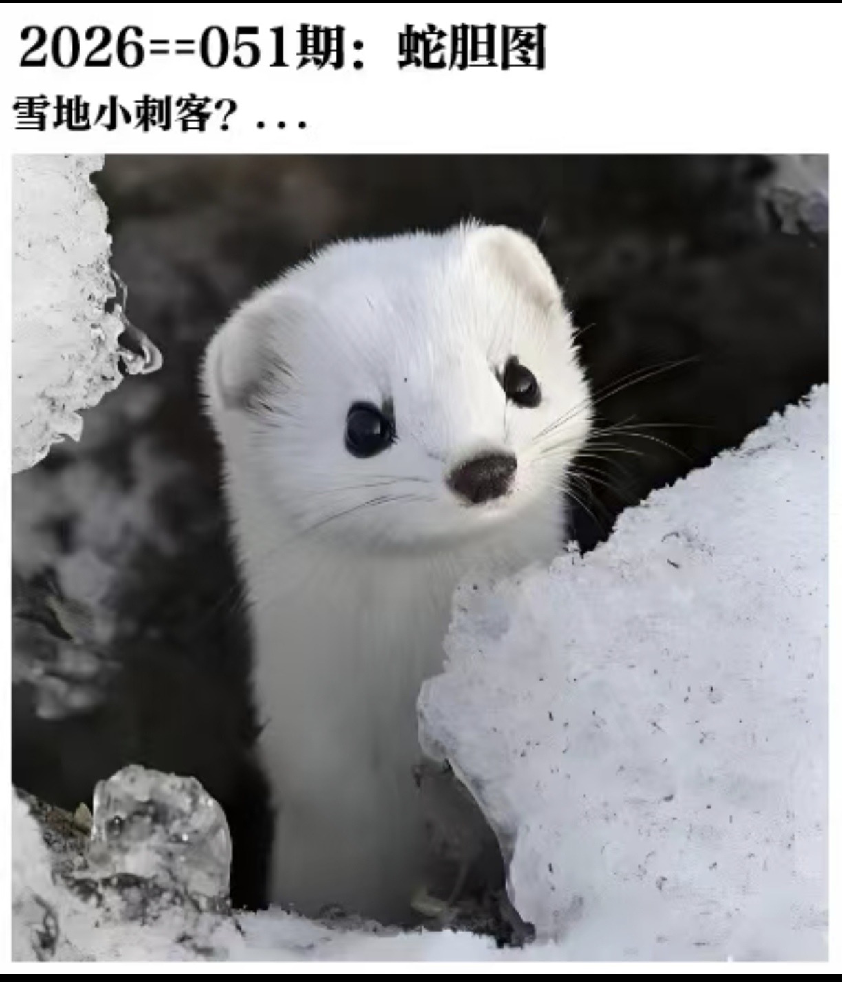 Screenshot_20260513_220802_com.tencent.mm_edit_1754052067238692.jpg