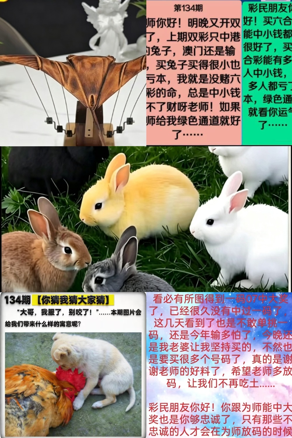 MEITU_20260514_164416169.jpg