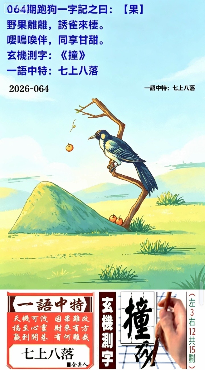 1000013819.jpg