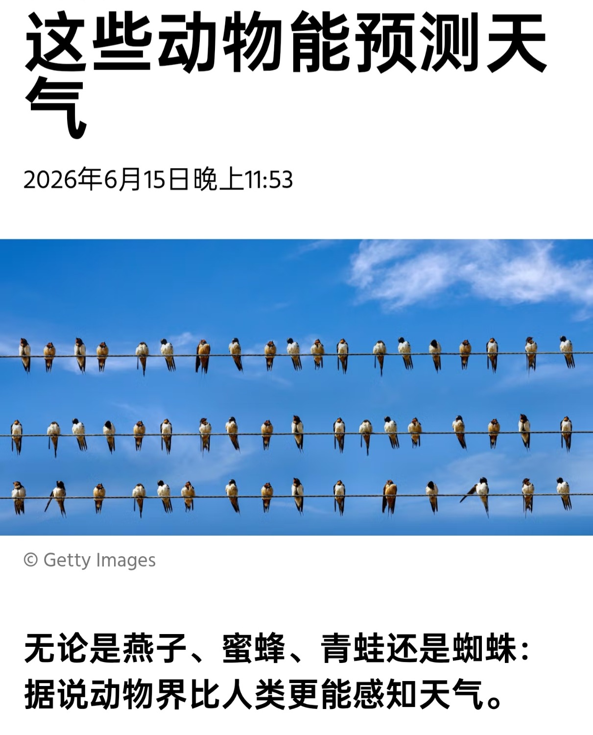 1000106886.jpg