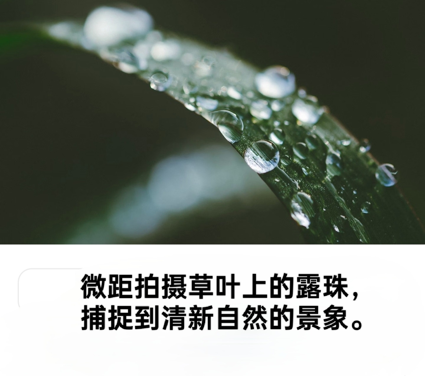 1000107110.jpg