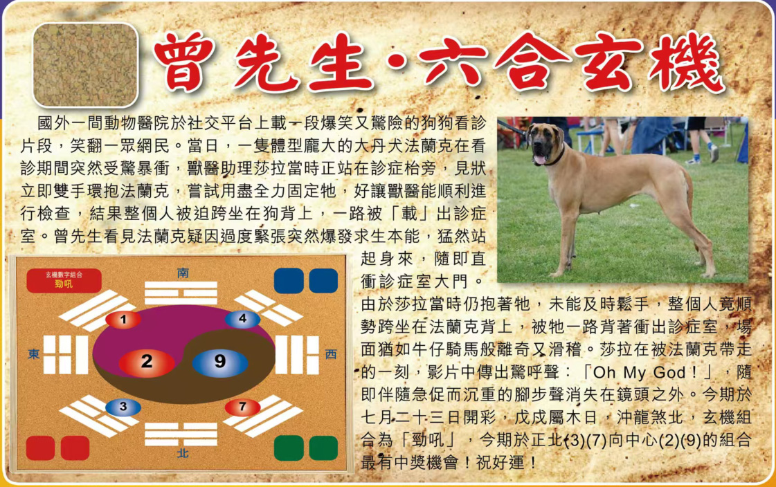 5.jpg