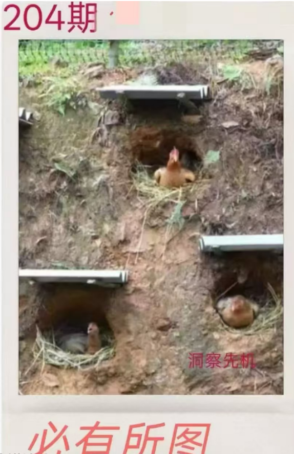 QQ图片20260723161742.png