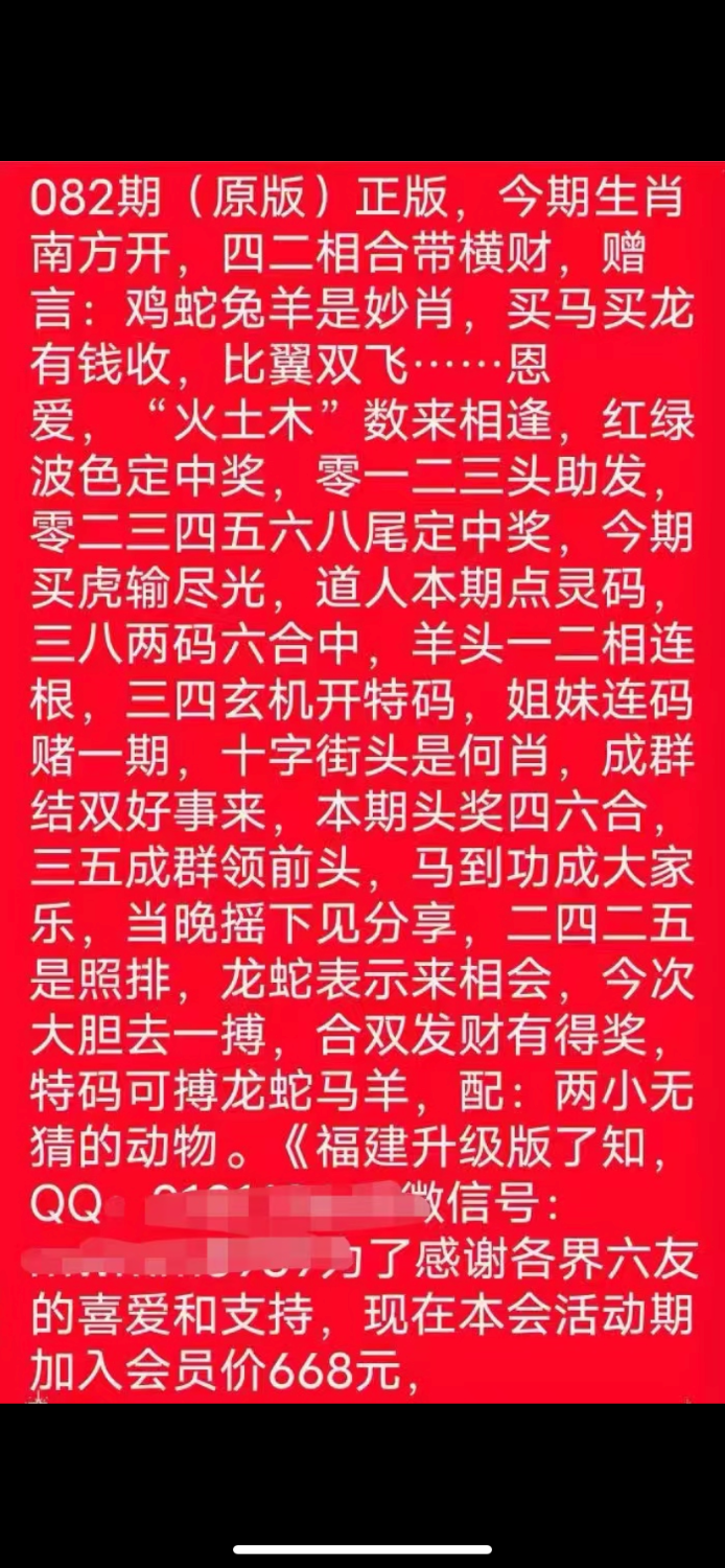 IMG_3987.png
