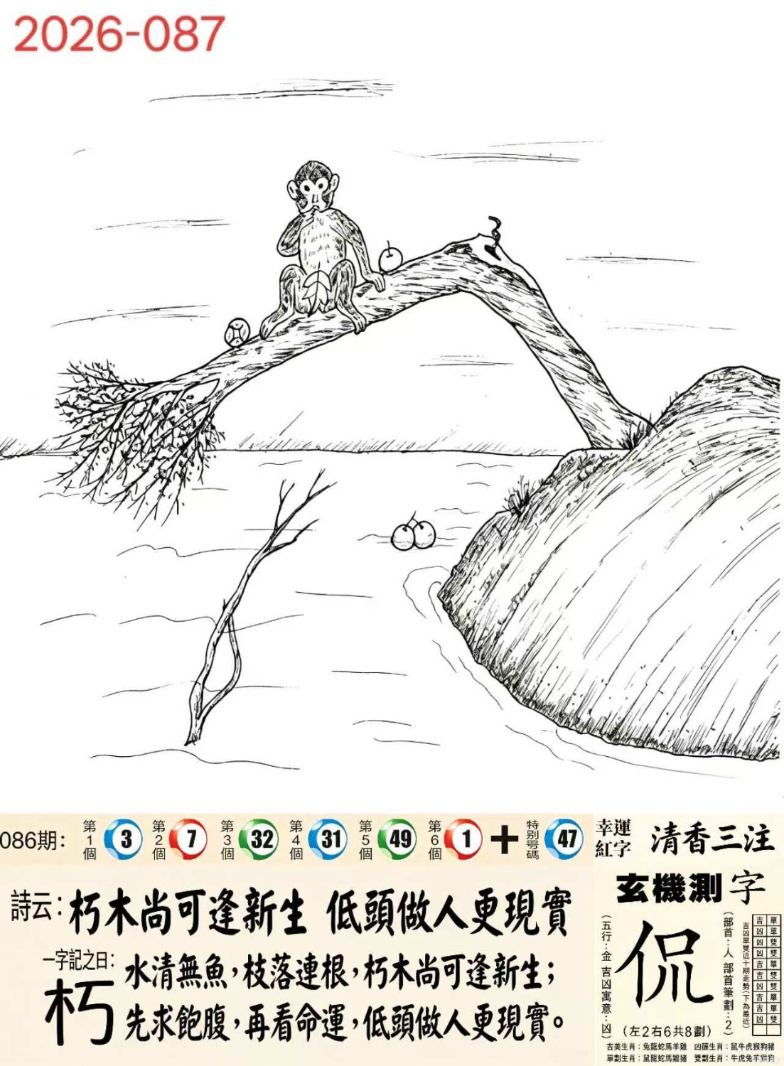 1000019185.jpg