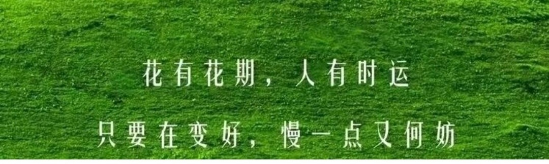 Screenshot_20260415_152400_com.tencent.mm_edit_94982887070922.jpg